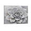Succulent monochrome, cadre en bois intégré, art mural botanique minimaliste, 16 x 20