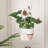 Aesir Handmade Hanging Planter