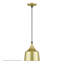 Luminaire suspendu Catrinia-121436242