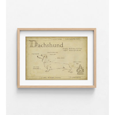 Alay Dachshund Poster Print, Framed Sausage Dog Wall Art, Dachshund Fine Art, Mini Dachshund Art, Small Dog Wall Art Print, Framed Wall Art