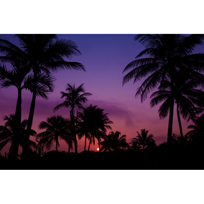 Palmtrees Silhouette - Wrapped Canvas Print, 30cm H x 46cm W x 3.8cm D