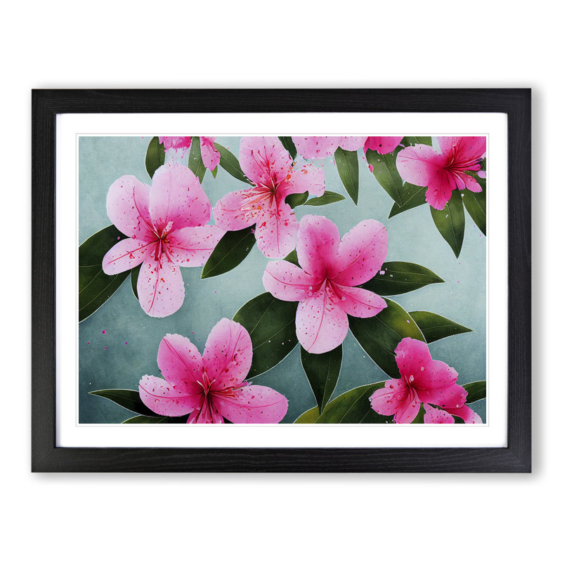 Rhododendron Flowers Splashed - Single Picture Frame Print, Black Framed, 46cm H x 64cm W x 2cm D