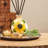 Woodsy Reed Diffusers And Sticks