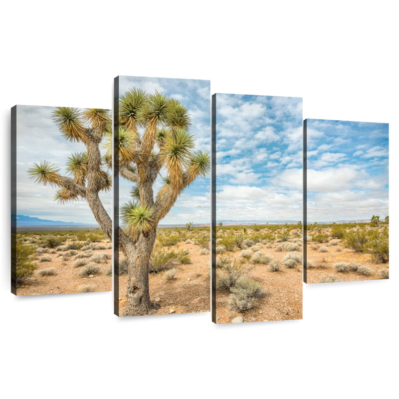 Harnek Joshua Tree In Nevada