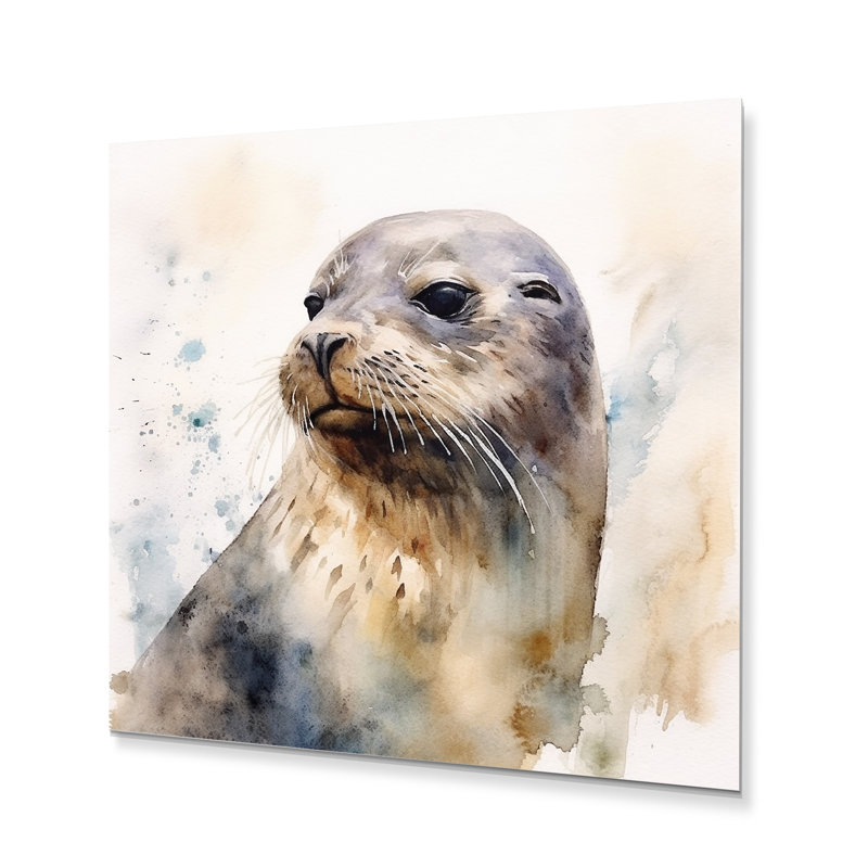 Curious Sea Lion II - Animals Metal Wall Art, 23" H x 23" W x 1" D