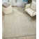 Chevron Indoor Rug