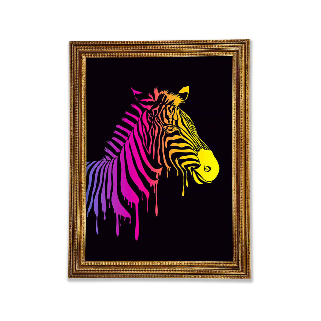 Zebra Regenbogen - Druck