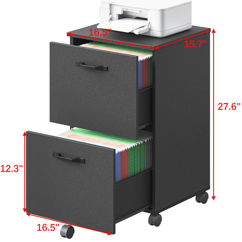Matte Black Mobile 2-Drawer Lockable File Cabinet