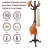 Solid Wood Coat Rack, 11 Hanging Points & Sturdy Base For Hallway, Office(Tri-Walnut)