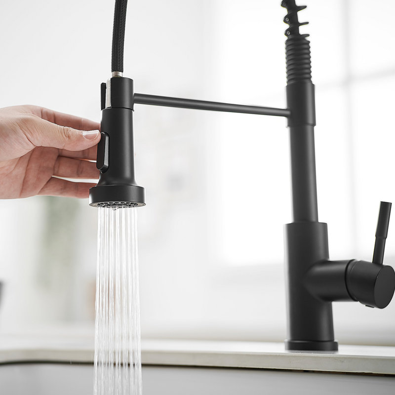 Robinet de cuisine avec douchette extractible en acier inoxydable, Noir