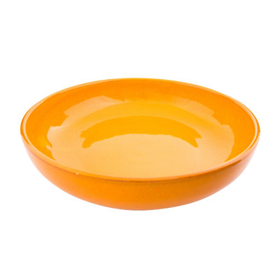 World Menagerie Michalak Ceramic Stainless Steel Salad Bowl