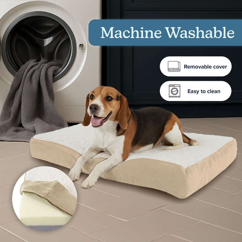PETMAKER 2-Layer Orthopedic Dog Bed - 30x20.5 Pet Bed for Medium Dogs, Tan , Medium (4" H x 30" W x 20.5" D), Tan