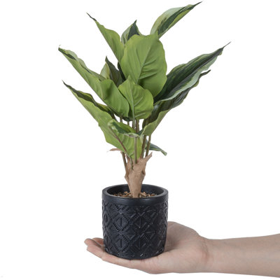 38.1cm Faux Dumb Cane (Dieffenbachia) Plant in Concrete Pot