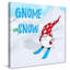 «Gnome Ski Ride», impression-31476122-31936836