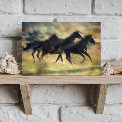 Chevaux sauvages en mouvement - Affiche murale contemporaine et dynamique représentant des chevaux sauvages.