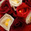 Dov LED Natural Leaf Rose String Light-89691156