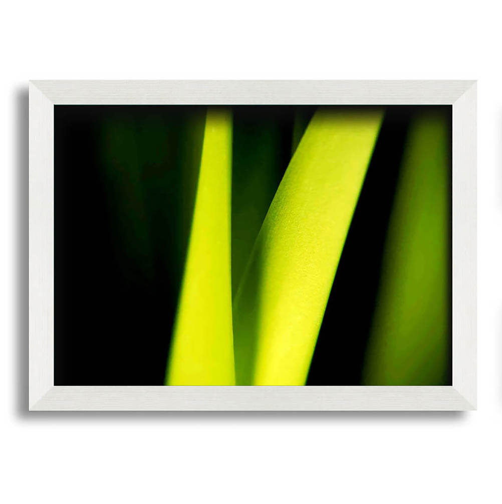 Green Leaf Shine Gerahmter Druck Wandkunst