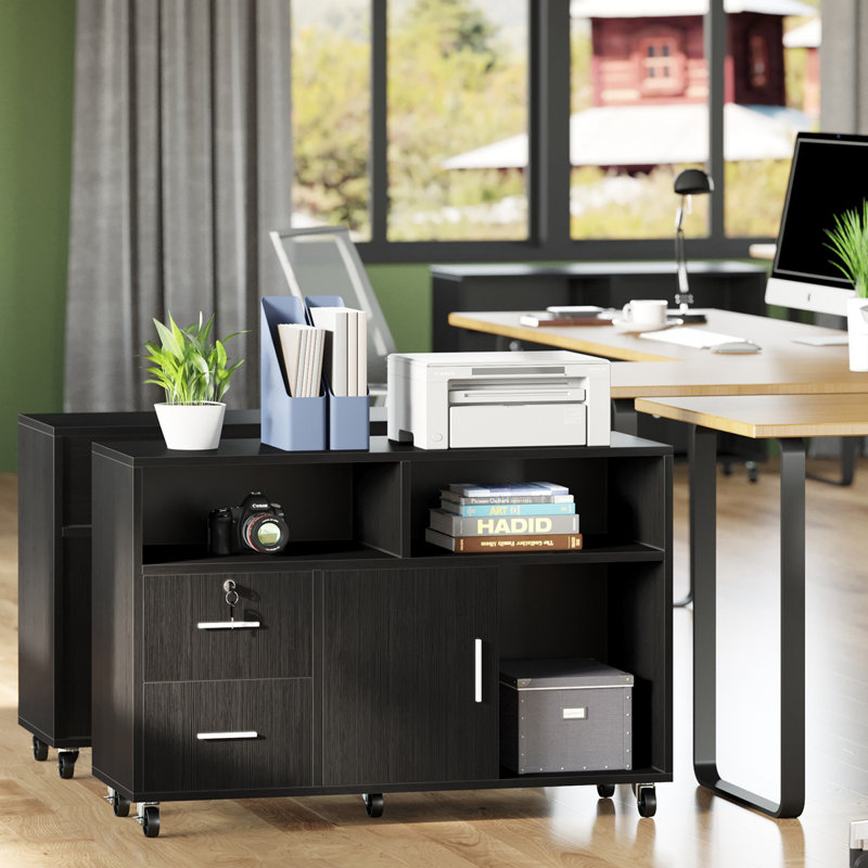 Mayaar 38'' Wide 2 -Drawer Mobile File Cabinet