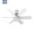 Fans Lights With Remote, 6 Speed 3 Color Fan Lights In Summer With Extender