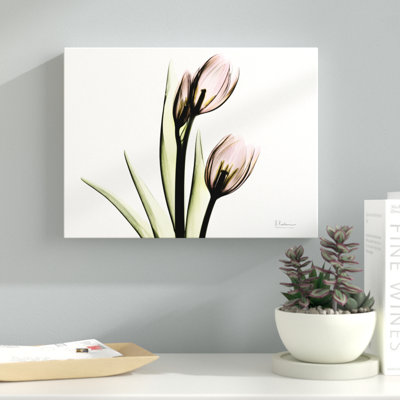 Tulip Love H37 - Wrapped Canvas Print