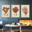 Ensemble de 3 toiles tendues Shell Collection-1798601486-1798601473