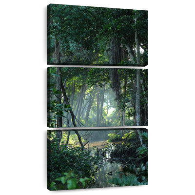 Forêt tropicale