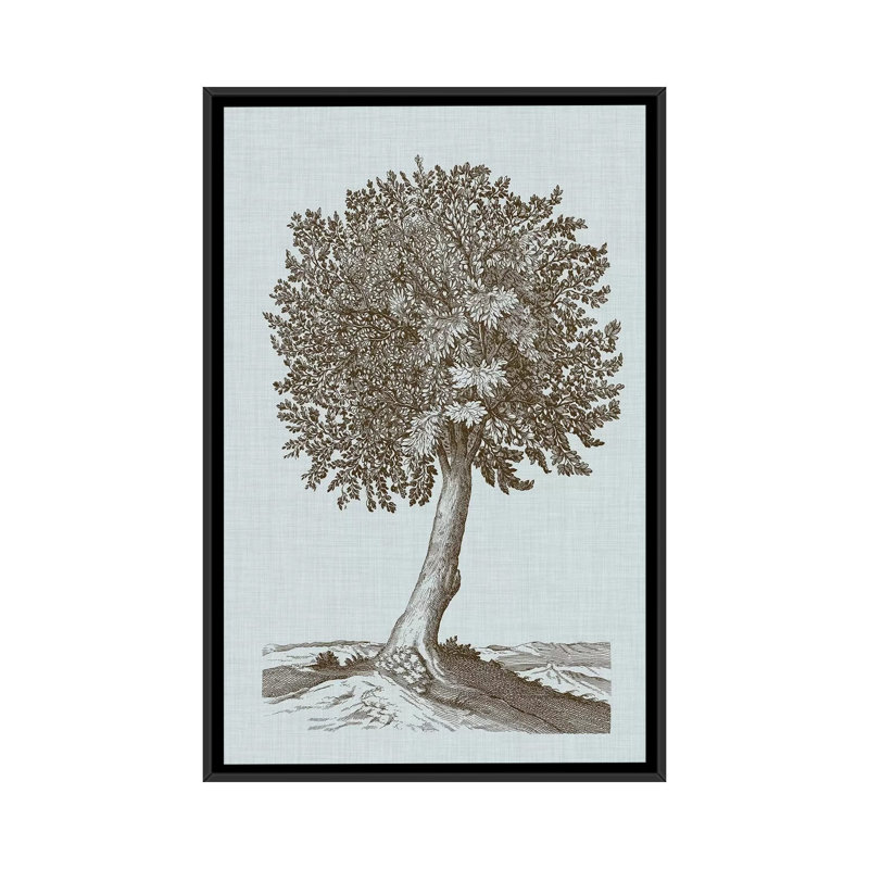 «Antique Tree in Sepia I», impression sur toile, H 26 po x l 18 po x P 1,5 po, Toile avec cadre noir, Pas de tapis