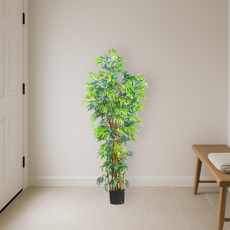 Fancy Style Bamboo Tree, 72" H x 36" W x 36" D