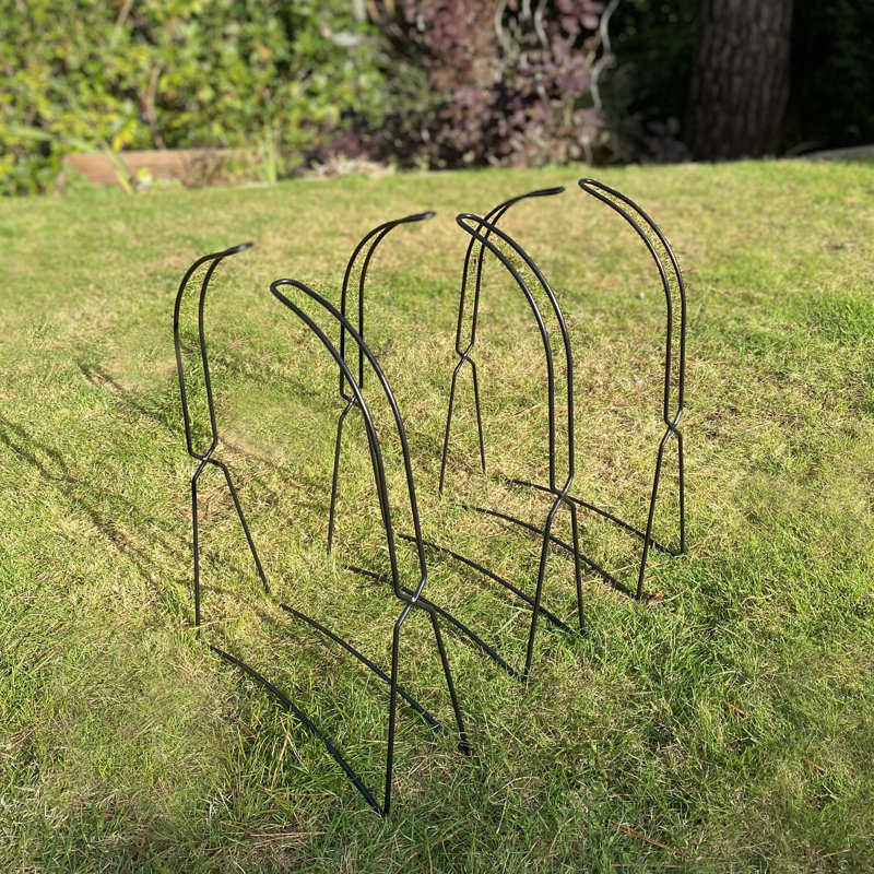 Aidynn Metal Weather Resistant Plant Support