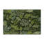 Tapis d'intérieur et d'extérieur vert Nature-892123947