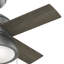 Ventilateur de plafond standard à 4 pales de 36 po avec ensemble d'éclairage inclus Loki-51403069