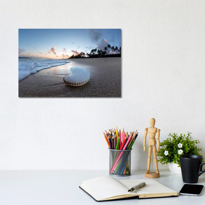 Paper Nautilus Palms by Sean Davey - Wrapped Canvas Gallery-Wrapped Canvas Giclée