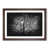 Walnut Framed selected