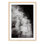 Sea Spray, Starboard - Picture Frame Photograph on Paper 