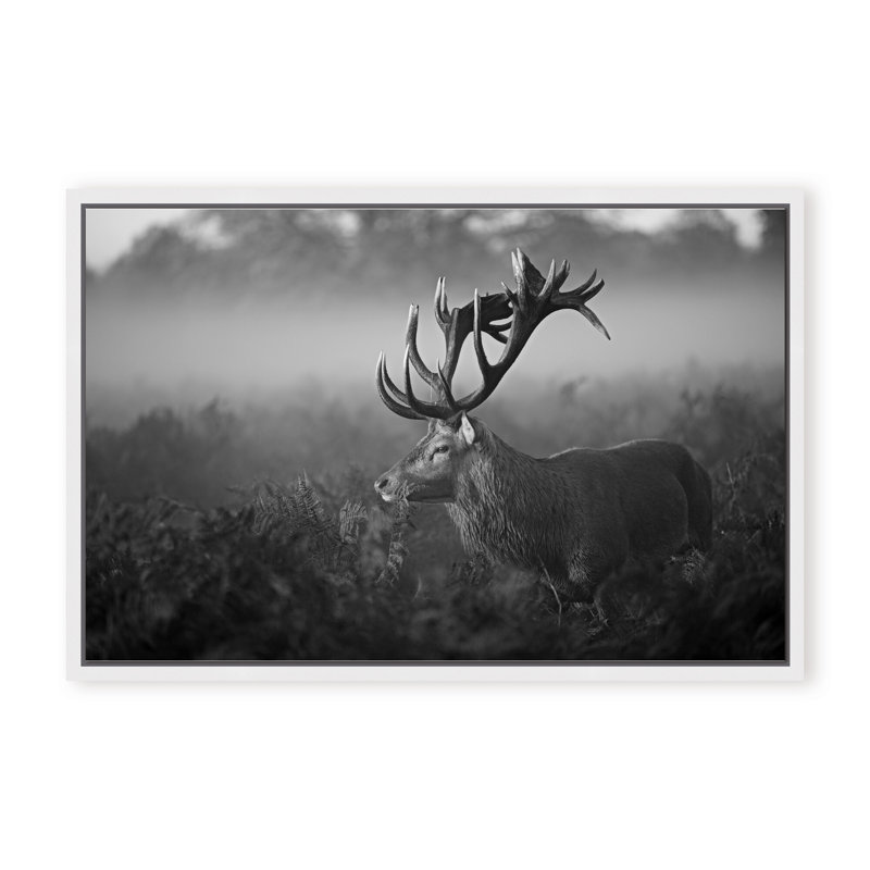 Nature Inspired Sunny Morning by  - Picture Frame Photograph on Paper, 24" H x 36" W x 1.125" D, Framed Print, Black