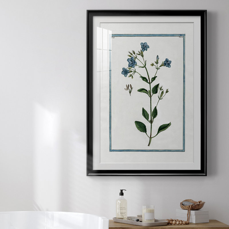 Shabby Elegance Botanical II, reproduction encadrée de qualité supérieure - prête à être accrochée, L 22,5 po x H 30,5 po