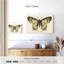 Brampt natures papillon I-107878080