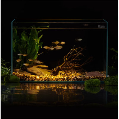 Réservoir d'aquarium rectangulaire