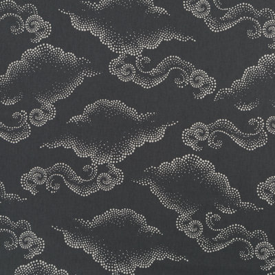 Dwellstudio Cloudburst 100% Cotton Fabric