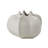 Star Fruit Vase-11372810
