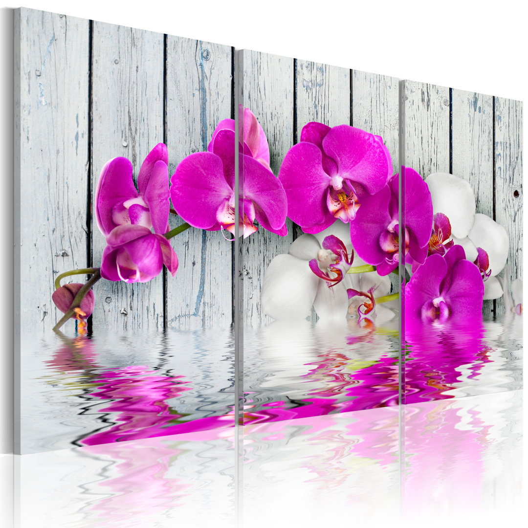 Leinwandbild - Harmonie: Orchidee - Triptychon