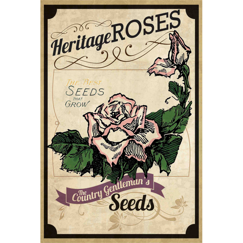 Flower Packet Roses - Wrapped Canvas Print, 76 cm H x 51 cm W