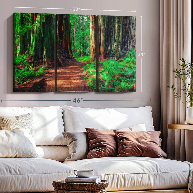 «Redwood Forest Path» sur toile, H 24 po x l 38 po x P 1,25 po