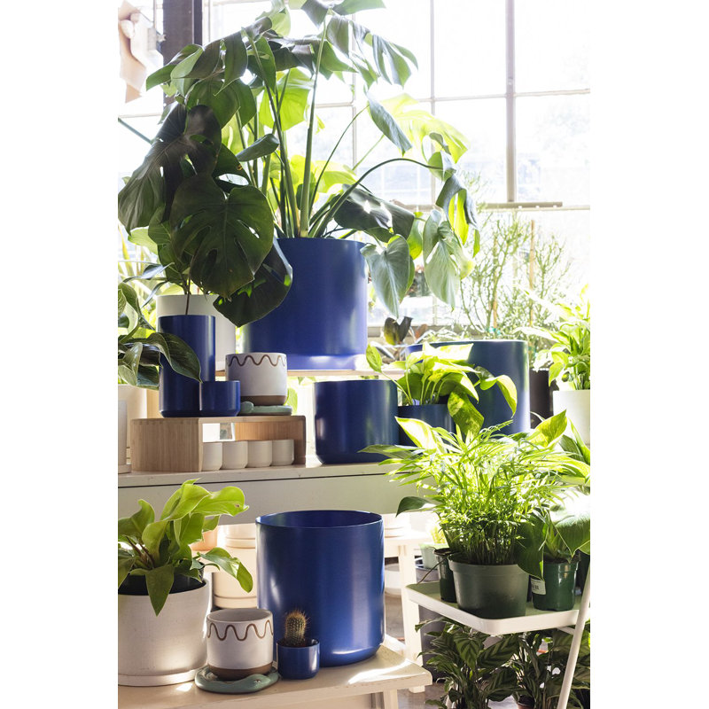 Pot à fleurs en céramique Parsons, H 10 po x l 10,75 po x P 10,75 po, Bleu