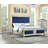 Queen Bed-1635803839