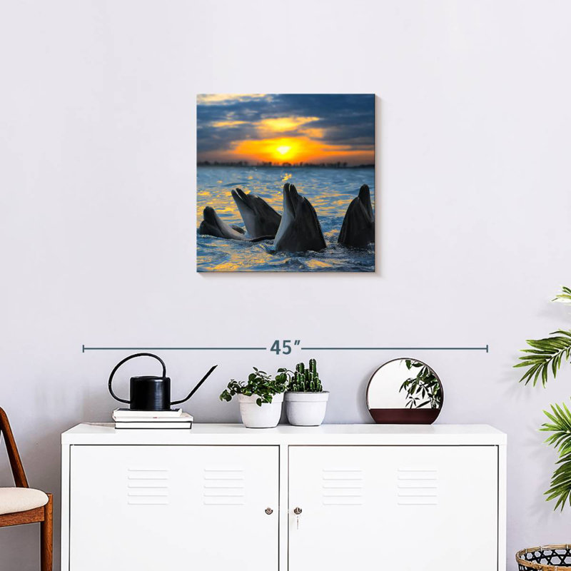 Brampt Grand Cayman Dolphins, 20" H x 20" W