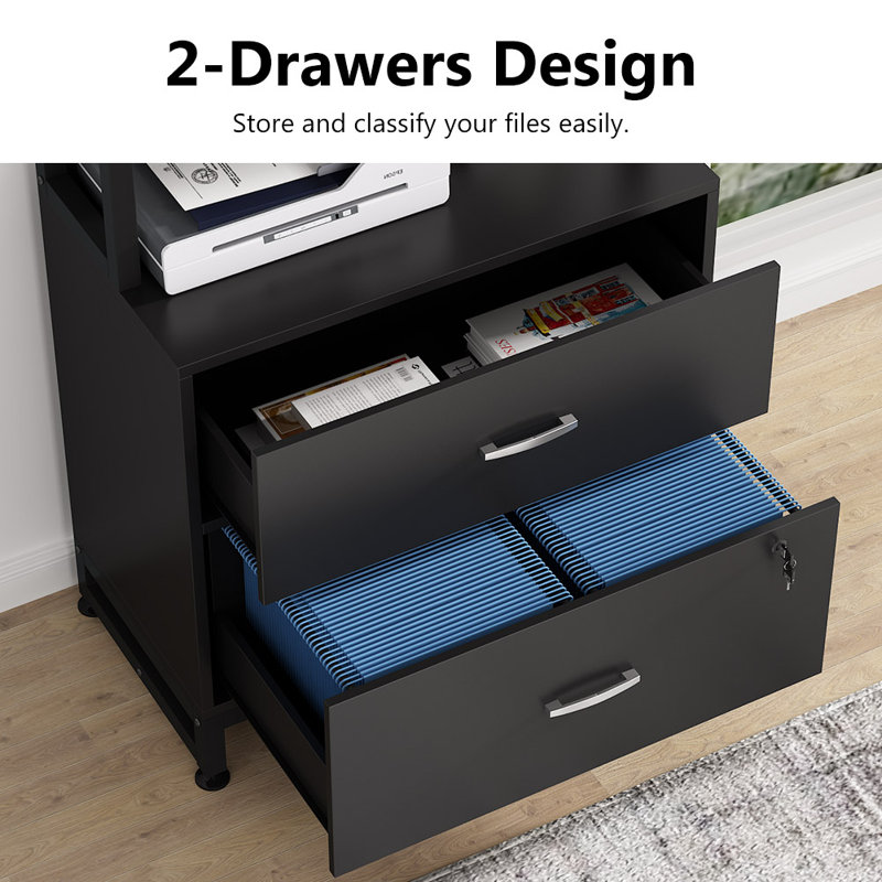 Black Vertical 2-Drawer Lockable File Cabinet with Shelves