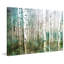 Reproduction de photographie sur toile tendue, « Aspen Green » par Parvez Taj-1601371092