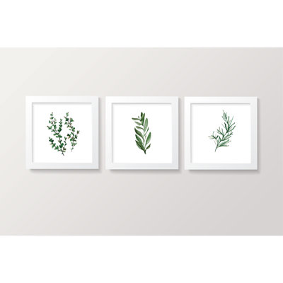 Plants & Flowers 3 - Piece Framed Art