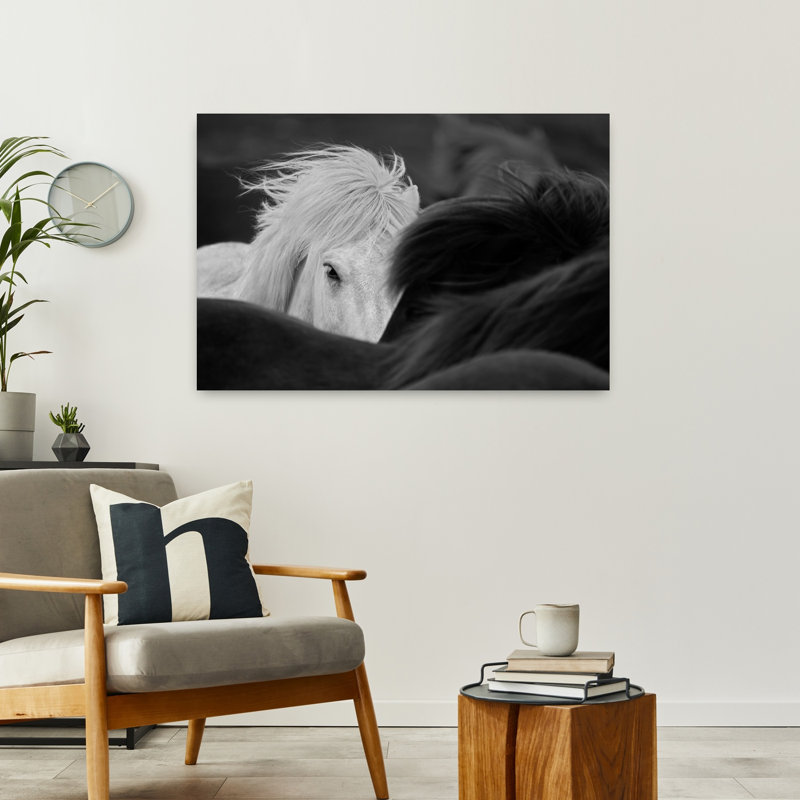 «Curious White Horse Gaze», art mural cheval contemporain, H 24 po x l 36 po